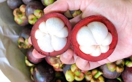 Măng cụt được ví là "nữ hoàng trái cây": Nhiều lợi ích nhưng có 5 nhóm người nên hạn chế ăn