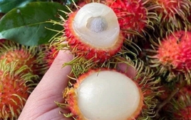5 loại quả đi chợ nên mua