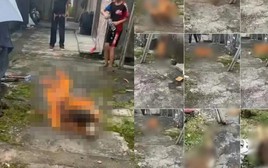 4 đứa trẻ dưới 14 tuổi gây phẫn nộ vì hành vi ngược đãi động vật, chuyên gia lên tiếng cảnh báo