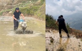 Xem khách Tây cuốc đất, đi bừa ở Tà Xùa, dân mạng đùa 'đi săn mây hay săn việc'