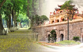 Hà Nội tháng 9 có gì mà khiến người ta muốn trở lại? Từ mùa thu rất tình đến “dòng chảy di sản” nghìn năm