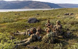 Lính nghĩa vụ Đan Mạch được điều động đến Greenland để làm gì?