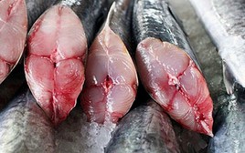 6 loại cá chứa lượng thủy ngân cao nhất