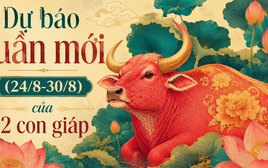Lời khuyên cho 12 con giáp trong tuần mới (24/8-30/8)