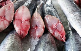 Lời khuyên cho những gia đình muốn tránh ăn cá "ngậm" nhiều thủy ngân