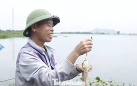 Nước lũ dâng, 'cần thủ' đua nhau săn cá