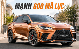 Lexus RX lộ bản hiệu suất cao: Ngoại hình hầm hố hơn, có thể mạnh tới 600hp, cạnh tranh X5 M
