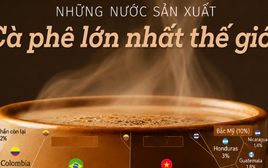 Sản vật tỷ đô giúp Việt Nam trở thành ông trùm của thế giới: chiếm thị phần 18% toàn cầu, diện tích trồng hơn 700.000 ha