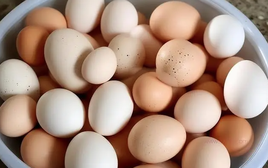 Bảng xếp hạng 5 thực phẩm giàu protein tốt nhất cho người cao tuổi: Trứng chỉ đứng thứ 5, số 1 gây bất ngờ