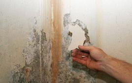 Lời khuyên cho những gia đình hay bị ẩm mốc, tường nhà bong tróc