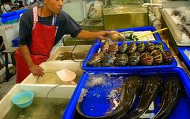 Chủ cửa hàng hải sản tiết lộ: Đây là những loại cá họ bán nhiều nhất mỗi sáng