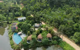 Yêu cầu kiểm tra, xác minh phản ánh villa, homestay mọc trong rừng phòng hộ Sóc Sơn