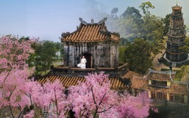 Việt Nam có 1 thành phố góp mặt cùng Bắc Kinh, Seoul trong đề cử Oscar du lịch thế giới, nửa năm đã thu hơn 10.300 tỷ đồng