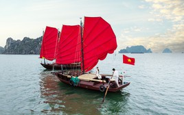 Người giữ bí mật cánh buồm có thể đi ngược gió trên Vịnh Hạ Long