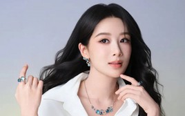 Dương Tử bị vạch mặt