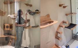 Vợ Anh Đức xây “biệt thự cho mèo”: Làm bằng kính cường lực, có hầm chui thông ra ban công