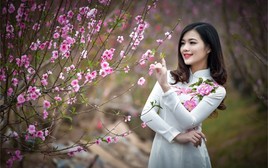 Trình Chính phủ phương án nghỉ Tết Nguyên đán 2027 kéo dài 7 ngày