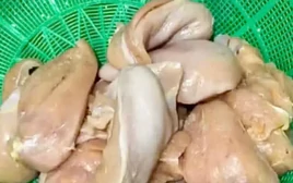 Vụ ‘gà, tôm bốc mùi đưa vào trường học’, Hà Nội chỉ đạo xử lý nghiêm