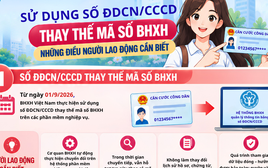 Sử dụng số căn cước công dân thay thế mã số BHXH: Những điều người lao động cần biết