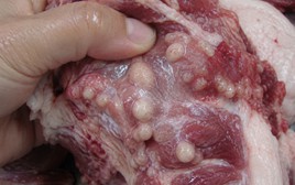 3 phần thịt lợn KHÔNG NÊN mua