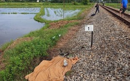 Băng qua lối đi tự mở, người đàn ông ở Đà Nẵng bị tàu hỏa tông tử vong