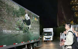 Hậu hội nghị thượng đỉnh Mỹ - Trung: Người Trung Quốc tiễn gấu trúc lên đường sang Mỹ