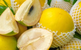 1 loại quả ngọt tốt ngang nhân sâm, chỉ duy nhất Việt Nam xuất khẩu trên thế giới: Hạ đường huyết, bổ máu, tốt cho xương khớp