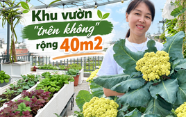 Khu vườn 40m² trên sân thượng ở TP.HCM: Rau xanh ăn quanh năm, chiều nào gia chủ cũng lên “xả stress”