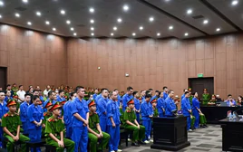 'Chạy' kết luận tâm thần cho chồng, vợ DJ Thái Hoàng bị đề nghị đến 3 năm tù