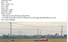 Bài đăng trồng 2 sào lúa chỉ lãi 35.000 đồng bỗng hút 2,5 triệu lượt xem: Nội dung thế nào?