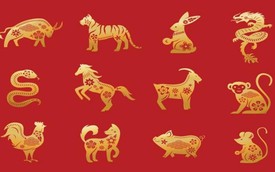2 tuần nữa có 2 con giáp gặp thời đổi vận, giàu sang phú quý, 1 con giáp lại cần thận trọng