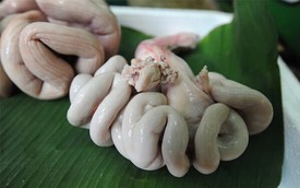 Các mẹo luộc lòng lợn giòn, trắng, thơm