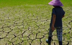 Tin nóng trong ngày