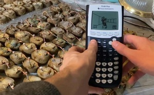 Clip: Dùng 45kg khoai tây để chơi game trên máy tính cầm tay