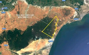 Bình Thuận đề xuất chuyển đất rừng để làm dự án điện gió