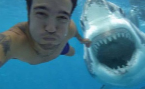 Đi hưởng tuần trăng mật thì đụng độ cá mập, chàng trai tử nạn sau bức ảnh selfie cuối đời, câu chuyện đầy bi thương nhưng sự thật là gì?