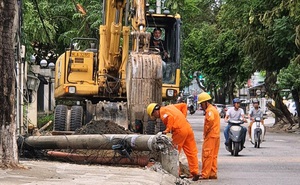 Hơn 400 cột điện gãy đổ trong bão số 5: Có bình thường?