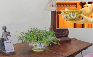 Dùng chiếc bát cũ làm chậu trồng cây rồi đem bán với giá rẻ mạt trên eBay, người đàn ông không ngờ nó là báu vật từ thế kỷ 19