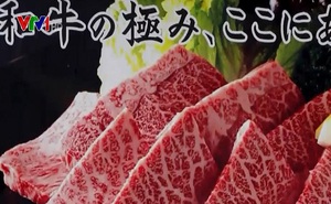 Nhật Bản làm thịt bò wagyu bằng máy in 3D
