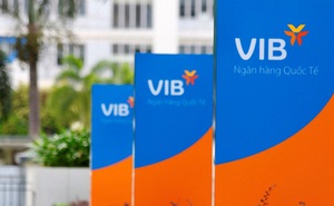 Ông nội muốn sang tay số cổ phiếu VIB trị giá gần 800 tỷ cho cháu trai?