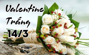 Những lời chúc Valentine trắng hay và ý nghĩa dành cho người yêu