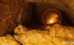 Ông lão phát hiện ổ chuột trong hầm chứa khoai nhà mình, mạnh dạn đào ra thì thấy cảnh tượng khó tin!