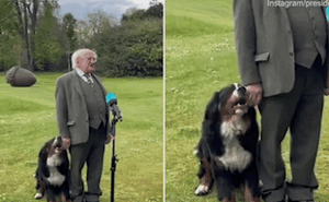 Chó cưng của Tổng thống Ireland càn quét MXH vì màn phá rối chủ đáng yêu hết sức ngay trên sóng trực tiếp