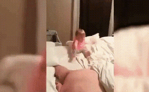 Clip hài hước: 1001 kiểu “con ngã, bố nâng” cực kỳ đáng yêu. Chỉ có bố nhanh tay đỡ con thôi!