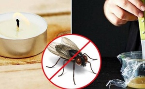 5 mẹo đuổi ruồi sạch bách ra khỏi nhà, không lo tốn kém