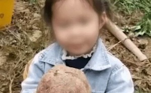 Bé 4 tuổi bị sát hại khi đi chơi với ông bà, danh tính kẻ thủ ác khiến cả nhà đau đớn khóc nghẹn
