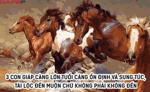 3 con giáp khổ trước sướng sau, càng lớn tuổi càng ổn định và sung túc, tài lộc đến muộn chứ không phải không đến