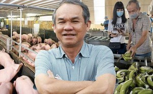 Bầu Đức "chiêu mộ" bác sĩ thú y chăm đàn gà – heo, trả lương hậu hĩnh đến 40 triệu/tháng