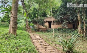 Vụ lấn chiếm hơn 3,6 ha rừng ở Phong Nha - Kẻ Bàng: Doanh nghiệp bất ngờ làm đơn khiếu nại