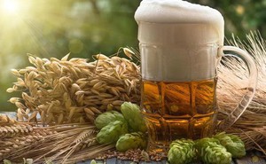 "Thần dược" trong.. ly bia bất ngờ chống được căn bệnh không thuốc chữa